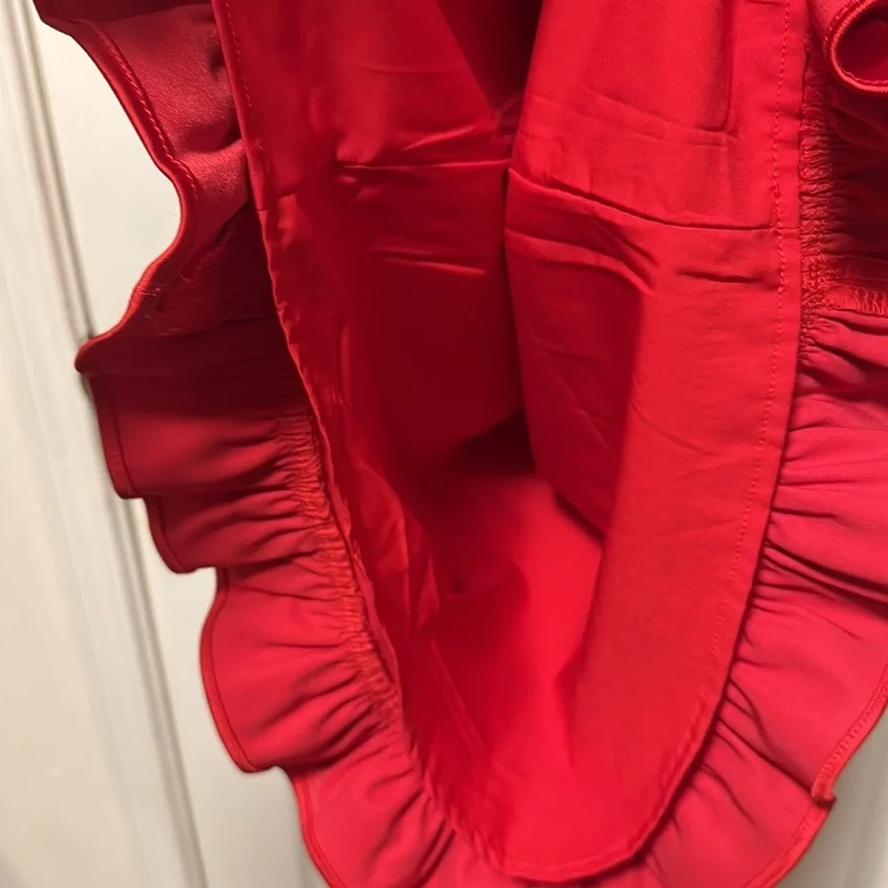 Julie Brown Red Dress. Size 4 NWT - Picture 10 of 13